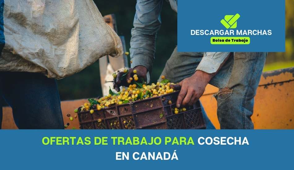 Ofertas de trabajo para cosechar en Canadá